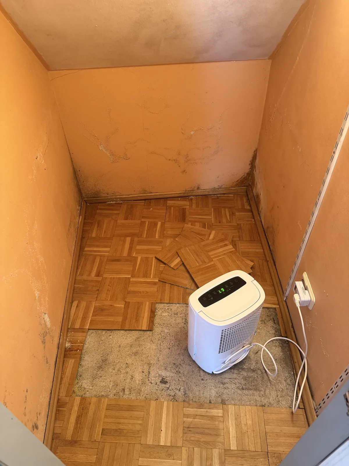 Trocknungsgerät während eines Einsatzes in einem Innenraum