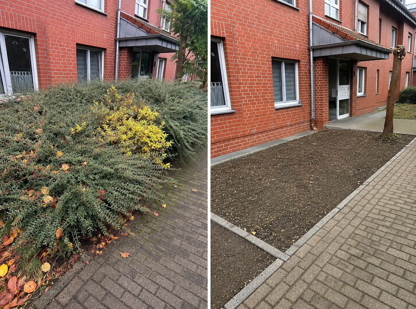 Vorher-Nachher-Zusammenstellung eines freigeräumten Beets