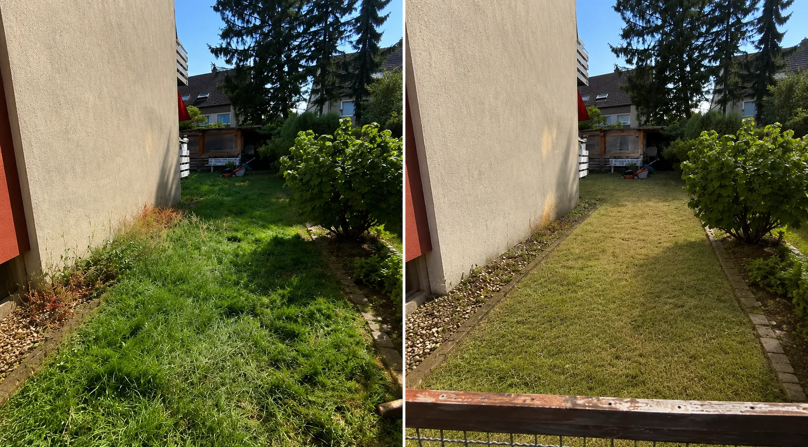 Vorher-Nachher-Zusammenstellung eines gepflegten seitlichen Grünstreifens