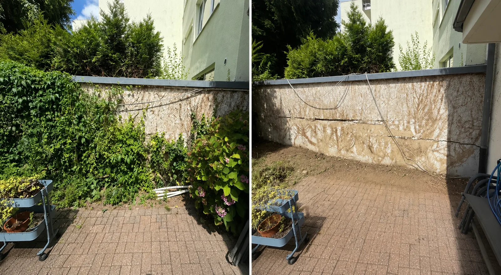 Vorher-Nachher-Zusammenstellung von entferntem Wildwuchs an Wand und Pflaster