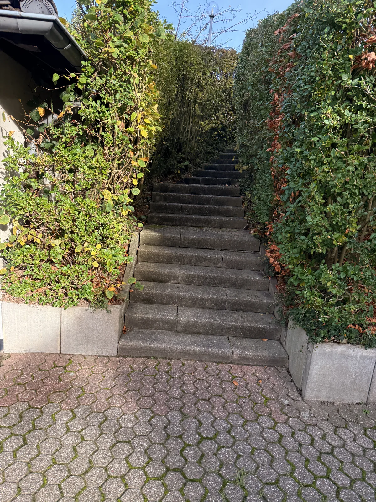 Gereinigte Treppenanlage im Außenbereich
