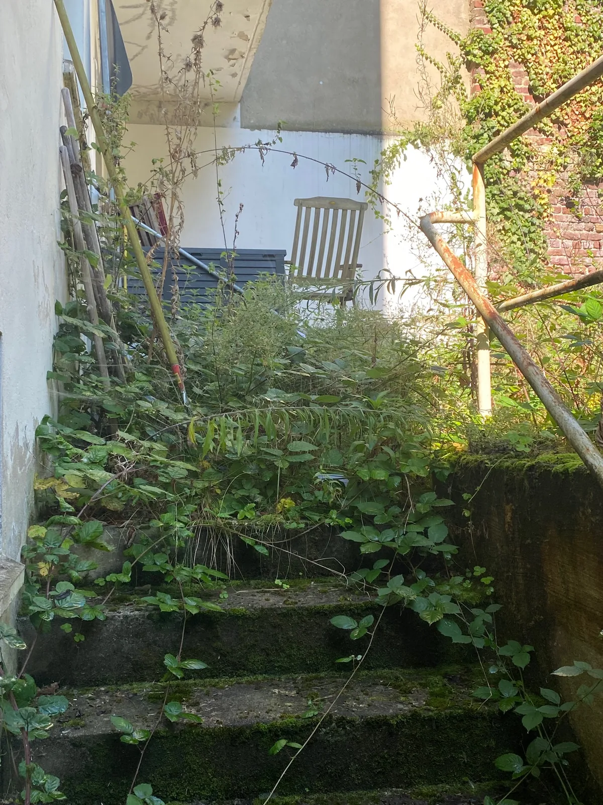 Bewachsene Treppenanlage vor einem Pflegeeinsatz